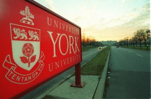 Is York University's latest controversy really a case of gender discrimination?