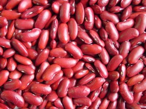 Red kidney beans, only eleven hours separates these beauties from their delicious destiny. Photo credit: Nnobseed.com