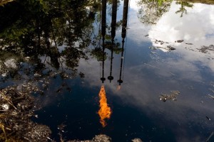  A pool of oil in Lago Agrio, Ecuador (Source - the New York Times)
